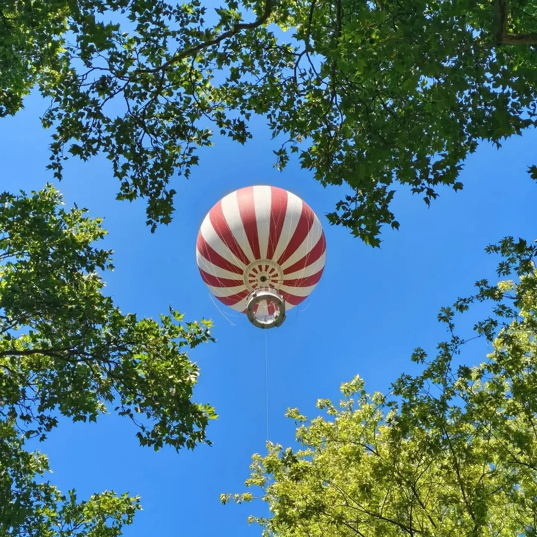 Sospesa nel cielo